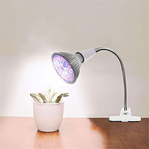 LED Desk Lamp with Clip